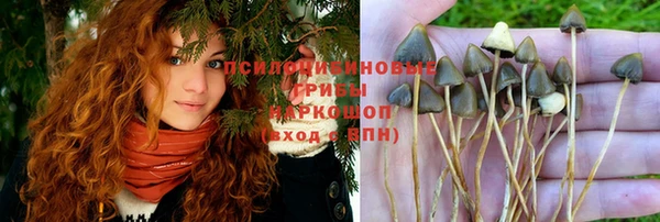 таблы Абаза
