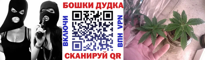 Конопля AK-47  Камень-на-Оби 
